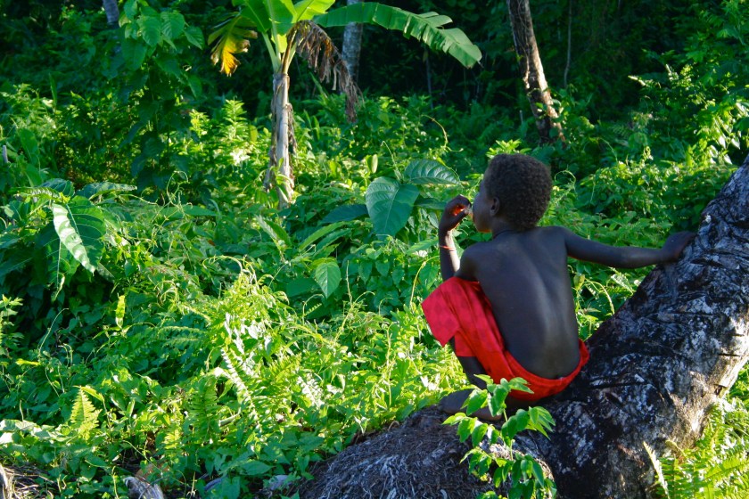 8499689264_1715643020_o